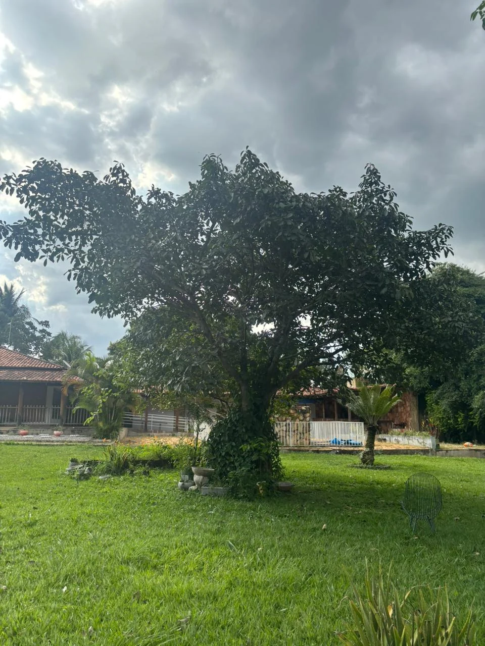 Área externa do Grupo Salvar Vidas