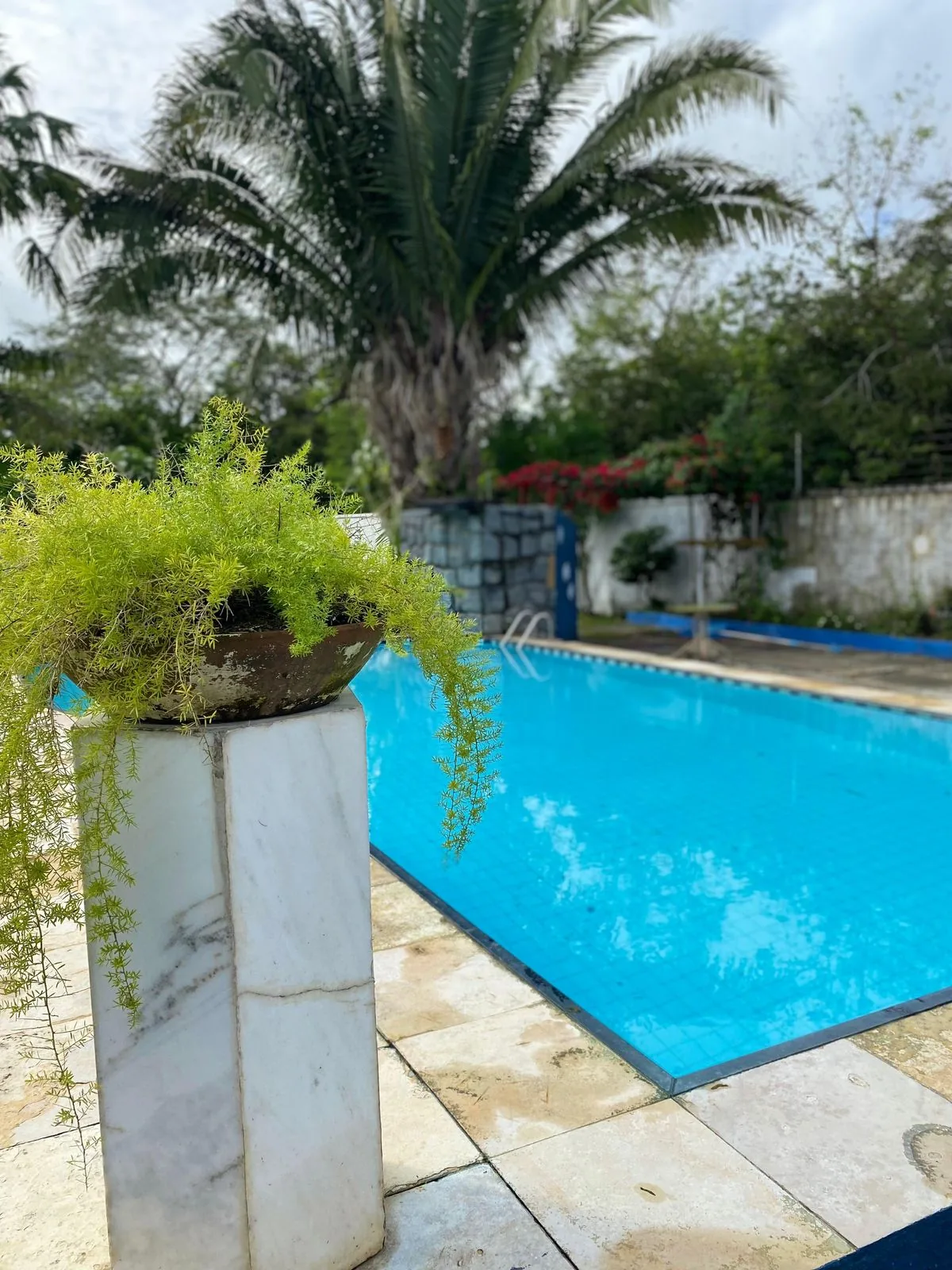 Piscina do Centro Terapêutico Green Park com área externa de apoio